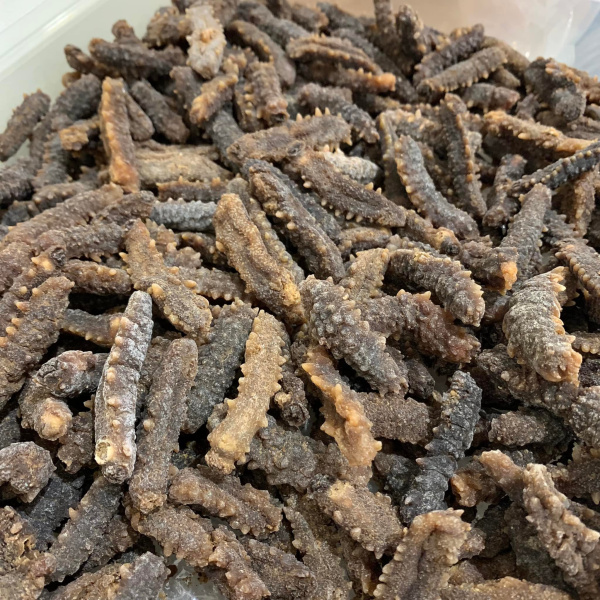 315264253_646632320494518_4964086515813916958_n